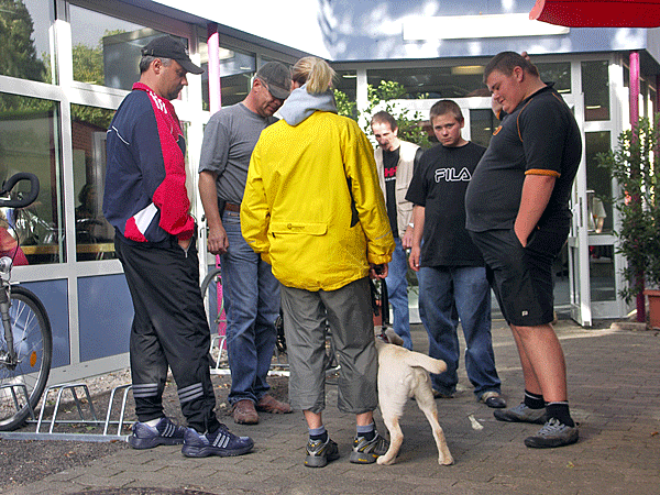 Drei Tage in Bildern
